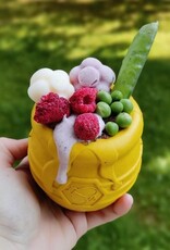 SodaPup SodaPup PUP-X Honey Pot Treat Dispenser