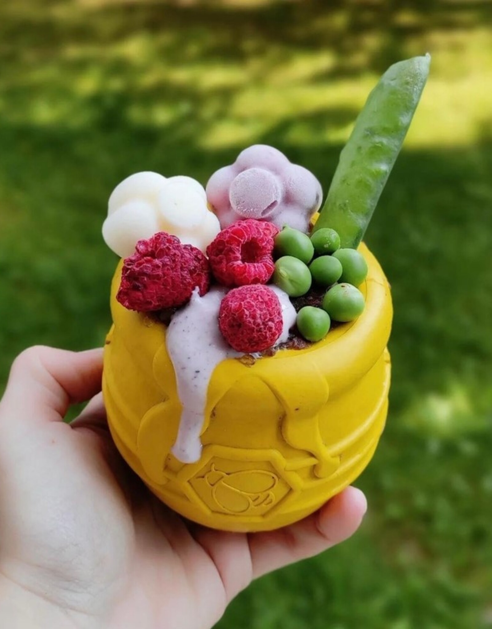 SodaPup SodaPup PUP-X Honey Pot Treat Dispenser