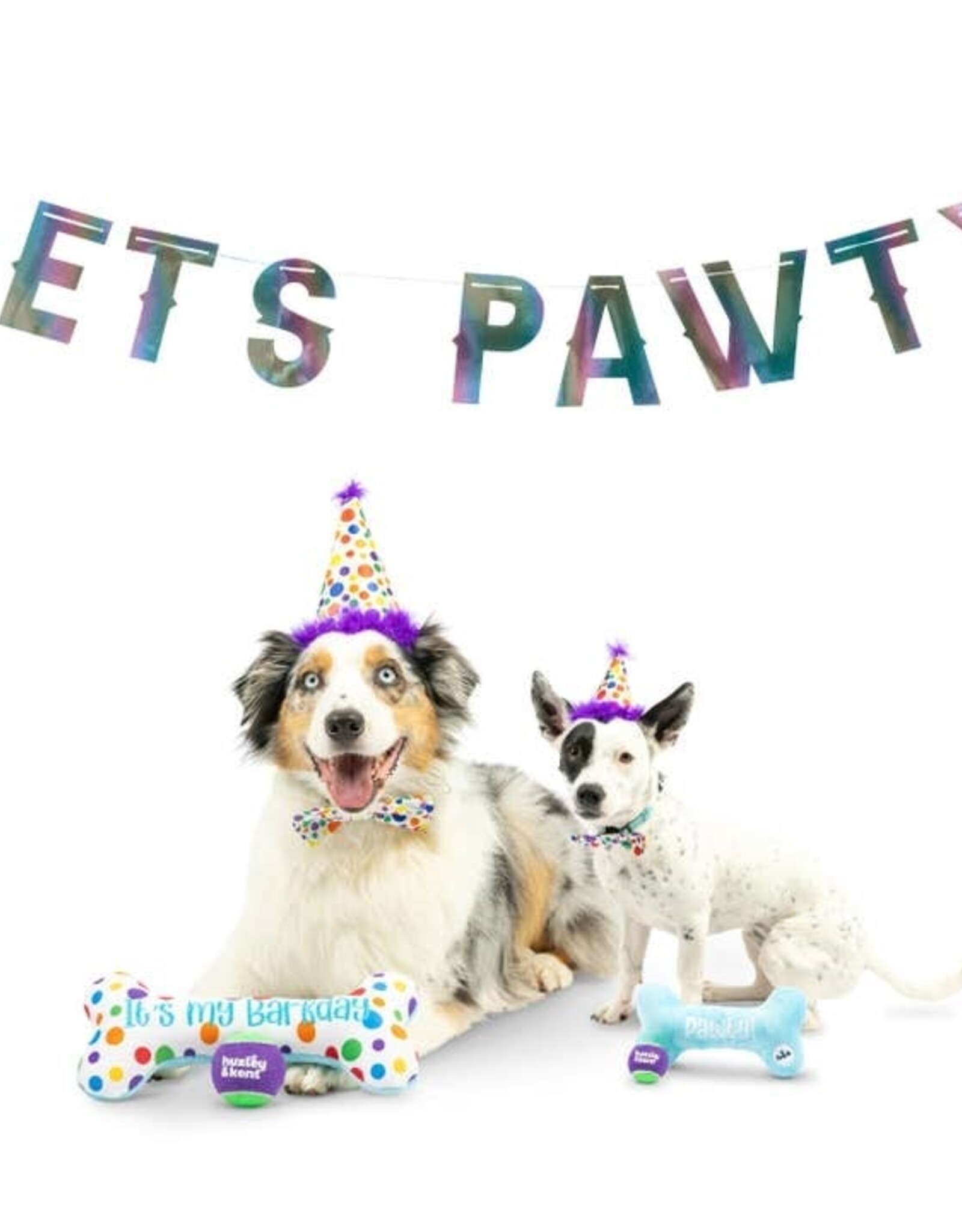 Huxley & Kent Let's Pawty Iridescent Celebration Banner