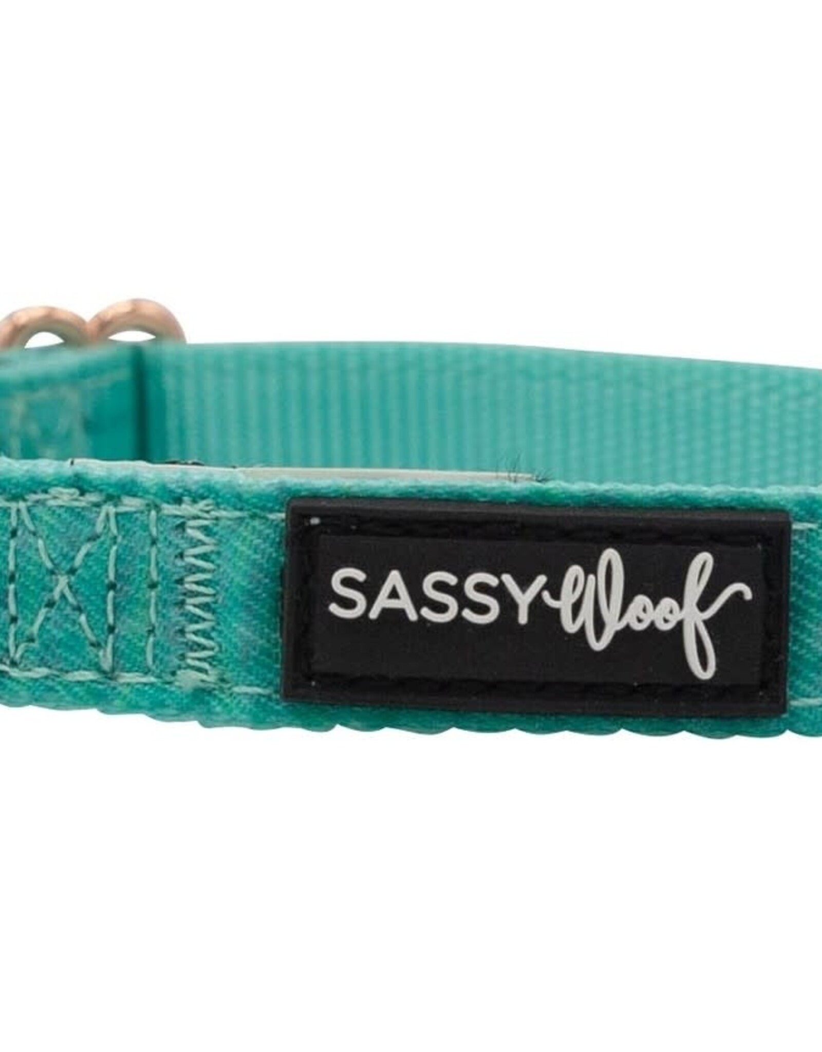 Sassy Woof Sassy Woof Wag Your Teal Adjustable Dog Collar