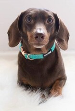 Sassy Woof Sassy Woof Wag Your Teal Adjustable Dog Collar