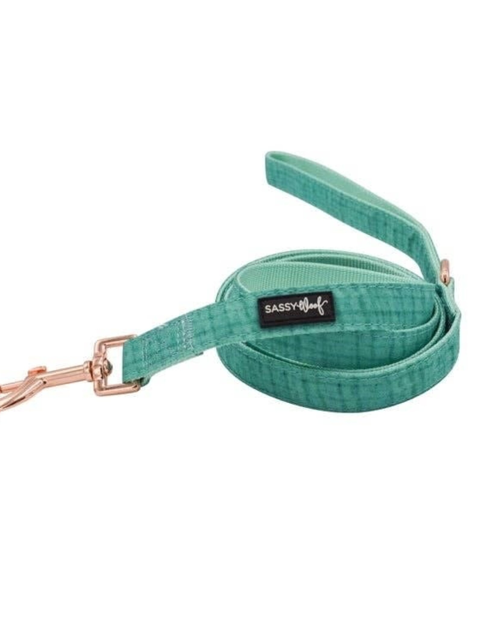 Sassy Woof Sassy Woof Wag Your Teal Fabric Leash