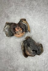 Happy Valley Hounds Happy Valley Hounds Pig Snout Happy Valley Hounds Happy Valley Hounds Pig Snout