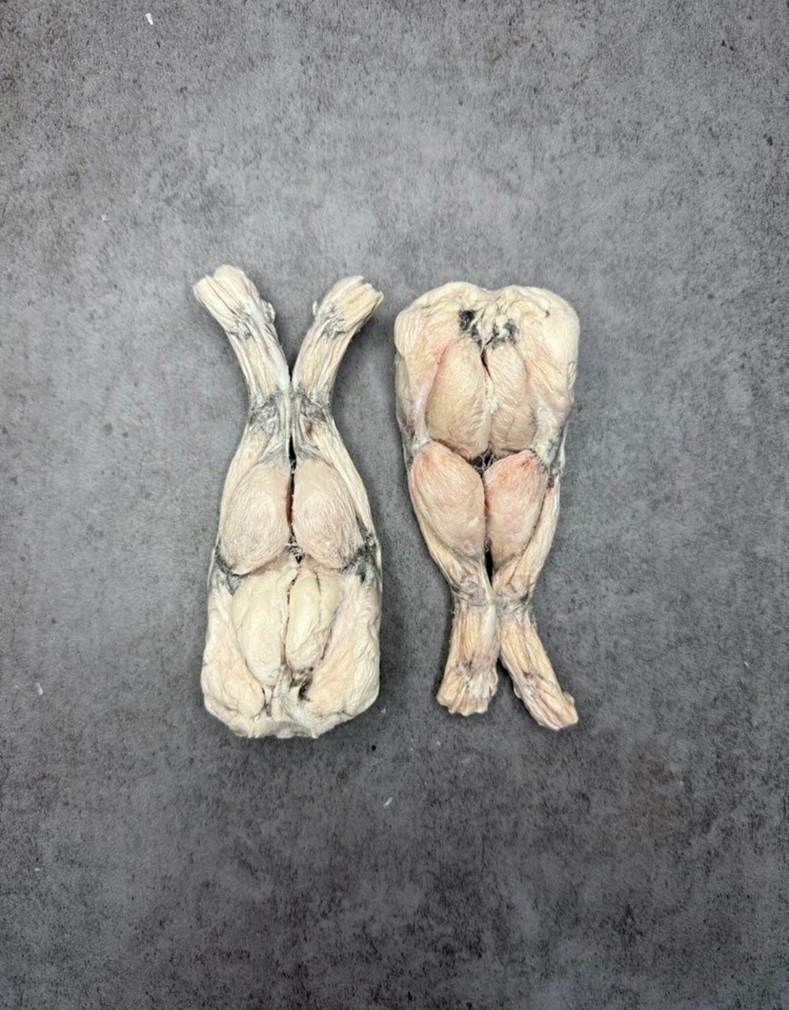 Happy Valley Hounds Happy Valley Hounds Freeze-Dried Frog Legs