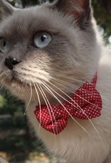 Cheerhunting Glitter Bell Cat Collar Cheerhunting Glitter Bell Cat Collar