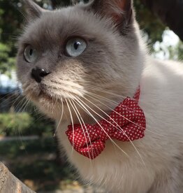 Cheerhunting Glitter Bell Cat Collar