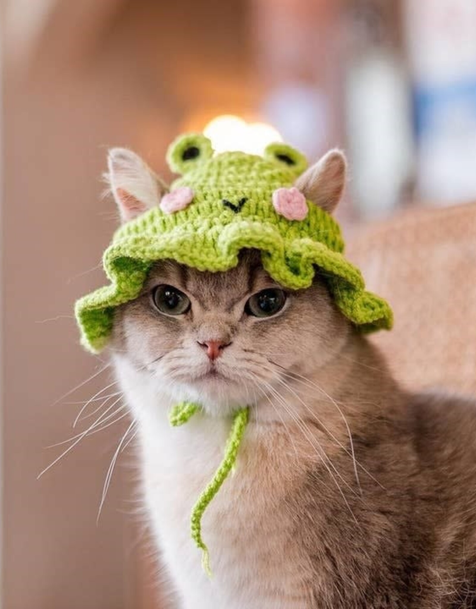 Cheerhunting Cute Pet Hat for Cats and Dogs