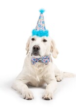 Huxley & Kent Happy Got Me Day Party Hat