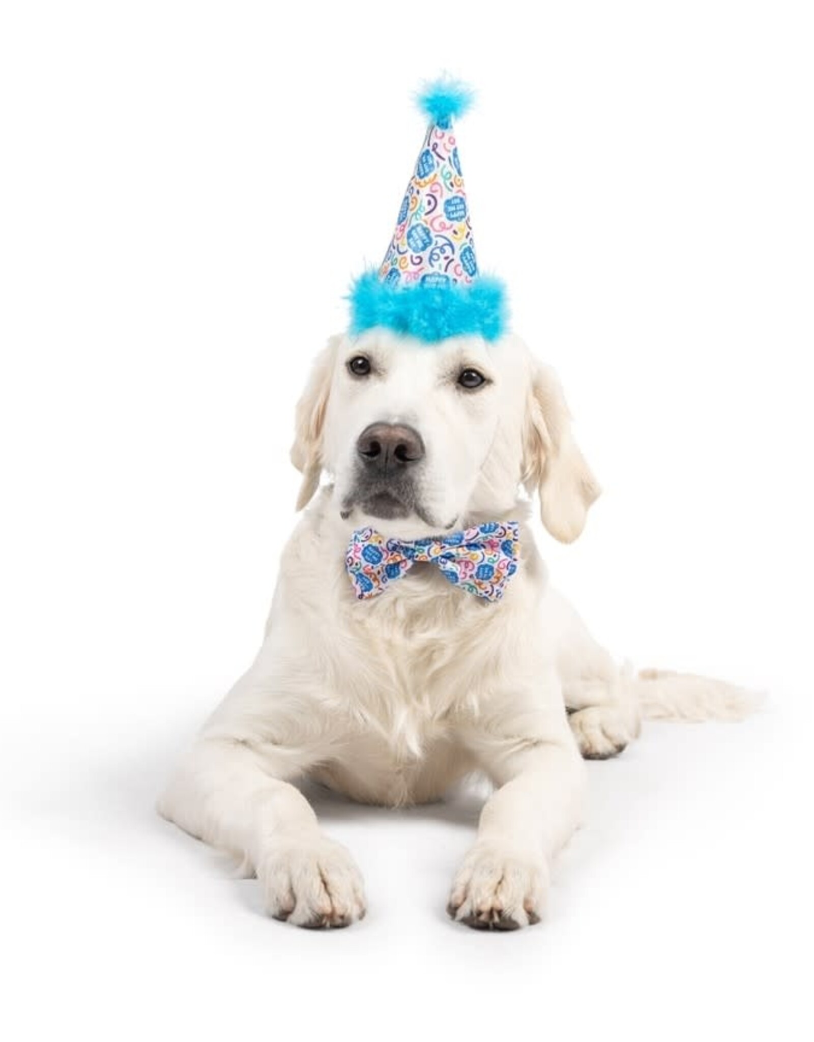 Huxley & Kent Happy Got Me Day Party Hat