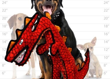 Jurassic June
