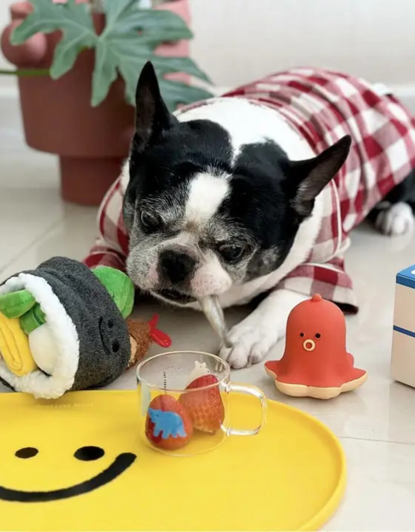 Cheerhunting Petkin Sushi Roll Dog Snuffle Toy