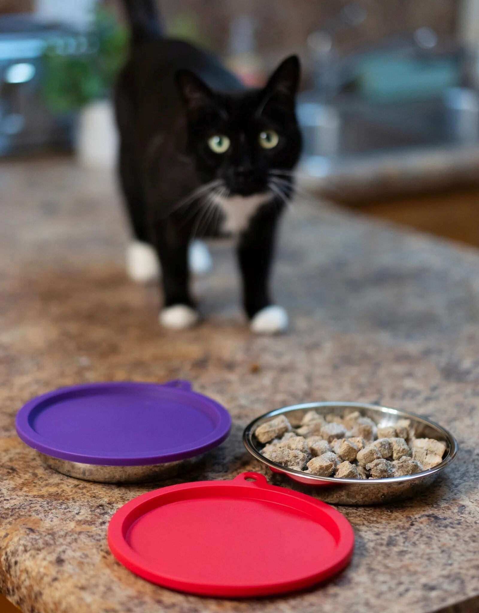 Messy Cats Bowl & Lid