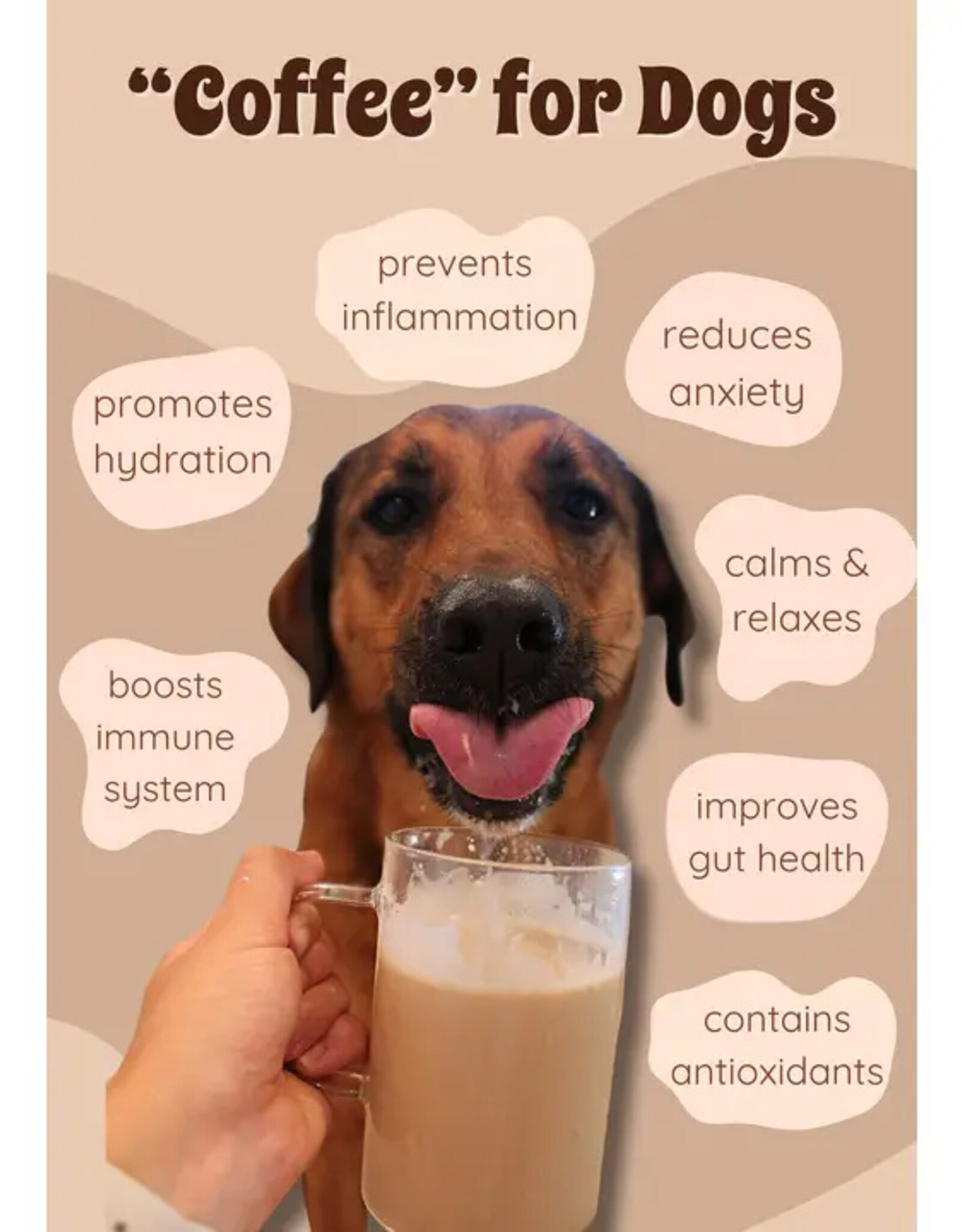 Caramel Latte Instant Dog Coffee