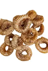 Dehydrated Trachea Ring Dehydrated Trachea Ring