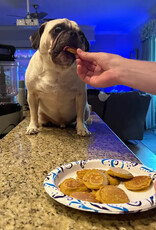 Rondi's Kitchen Organic Superfood Pancake Mix For Dogs Chicken & Blueberry Rondi's Kitchen Organic Superfood Pancake Mix For Dogs Chicken & Blueberry