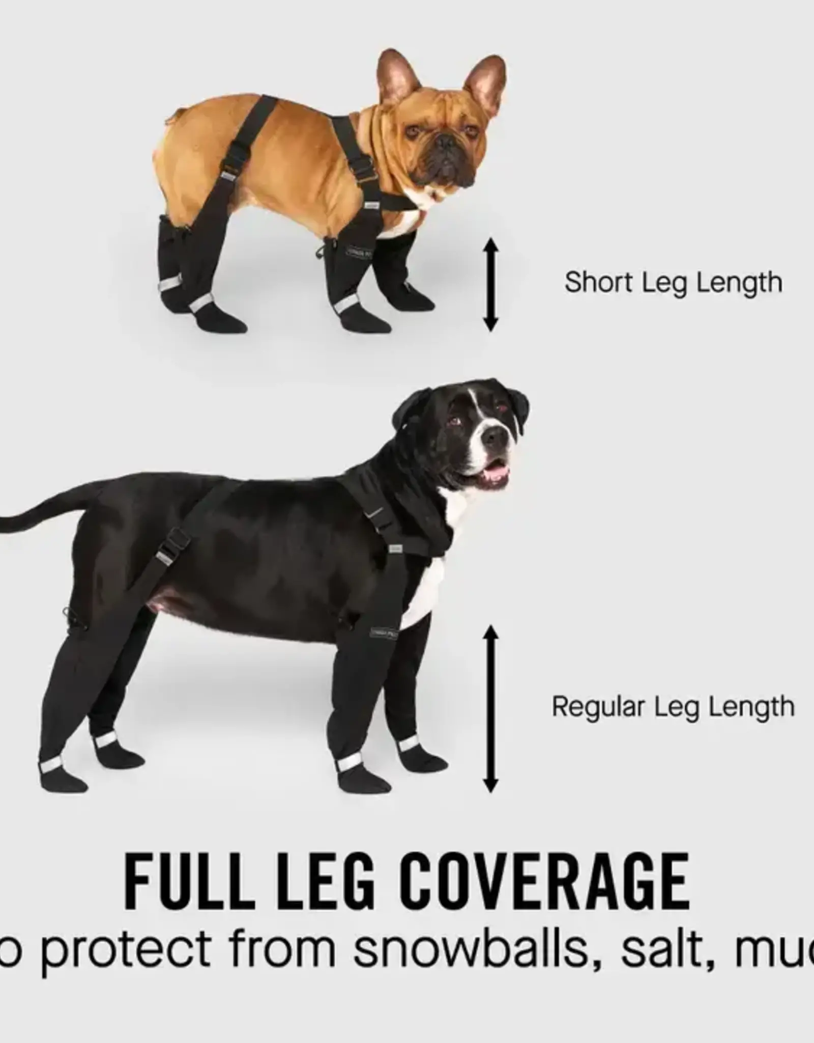 Canada Pooch Canada Pooch Suspender Boots