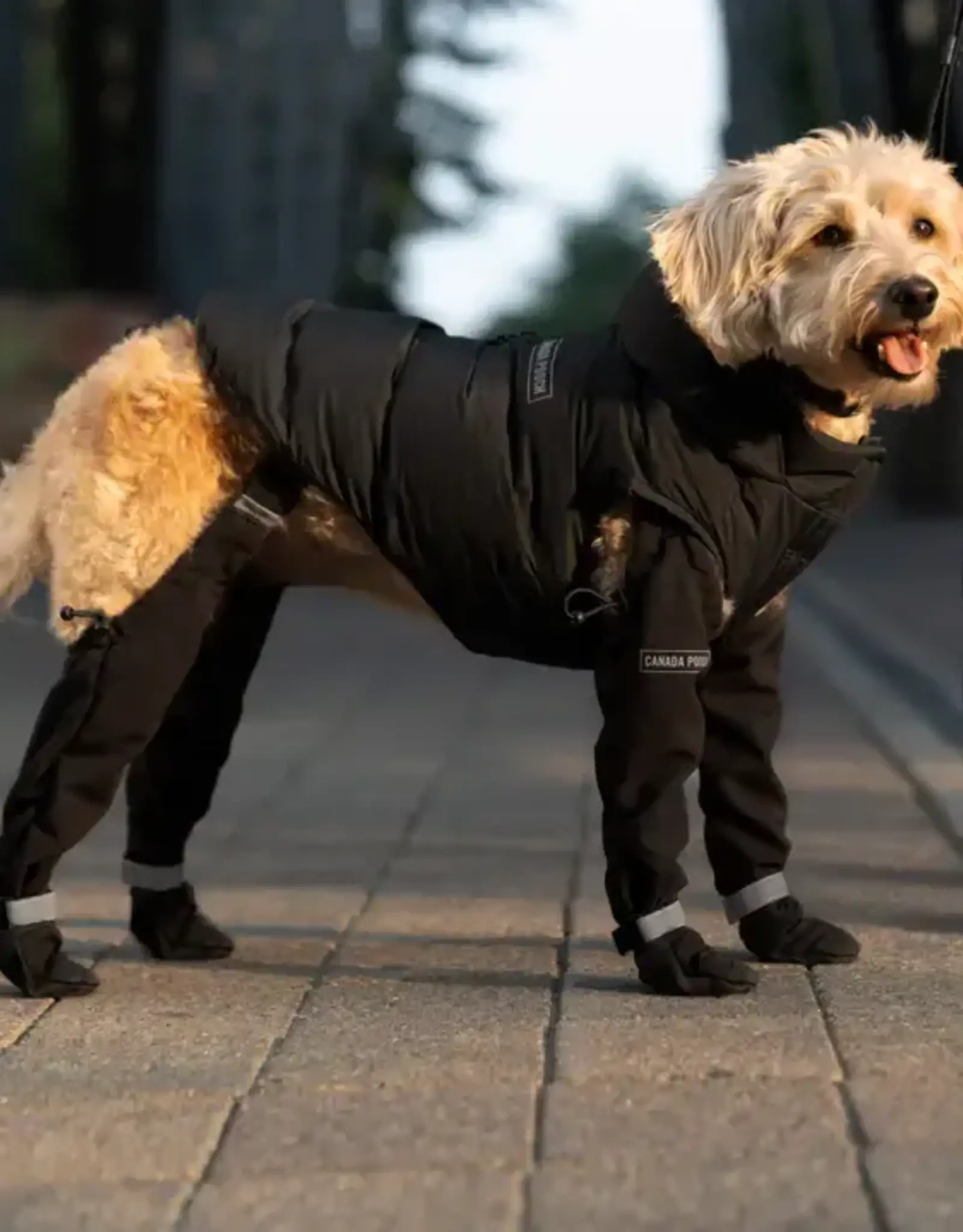 Canada Pooch Canada Pooch Suspender Boots