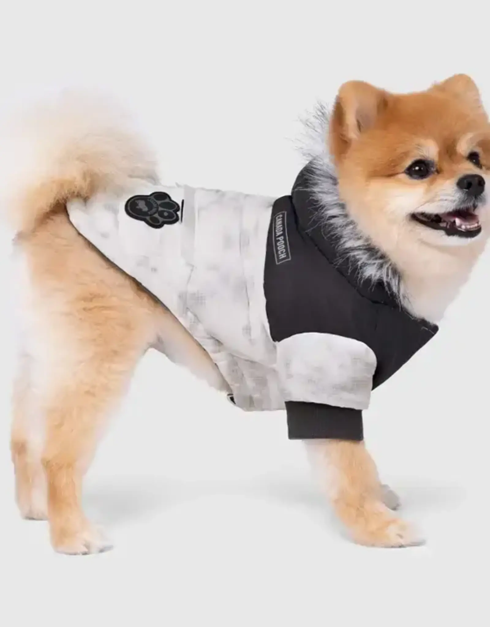 Canada Pooch Canada Pooch Eco+ True North Parka