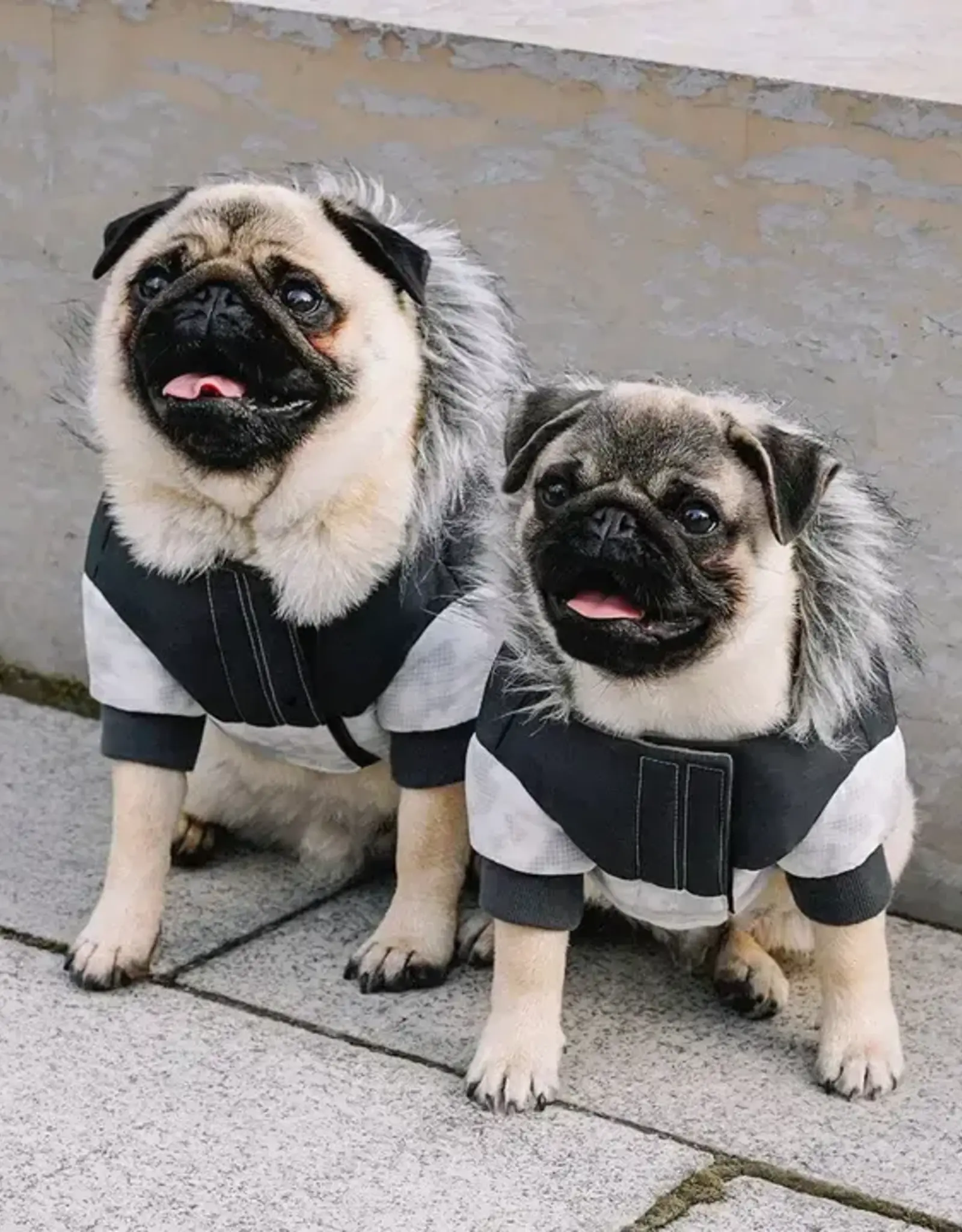 Canada Pooch Canada Pooch Eco+ True North Parka