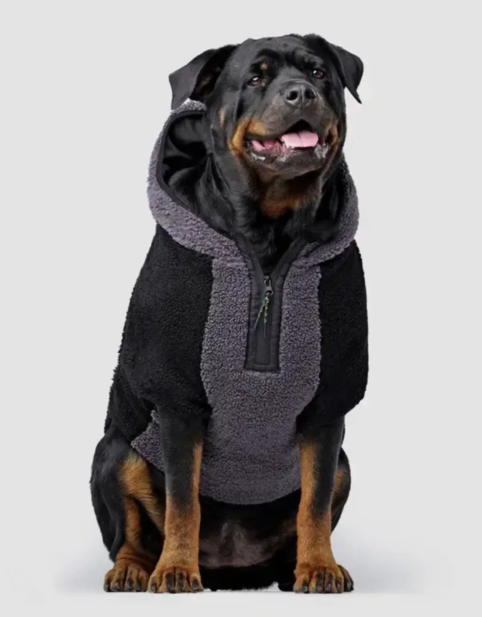 Canada Pooch Cool Factor Hoodie