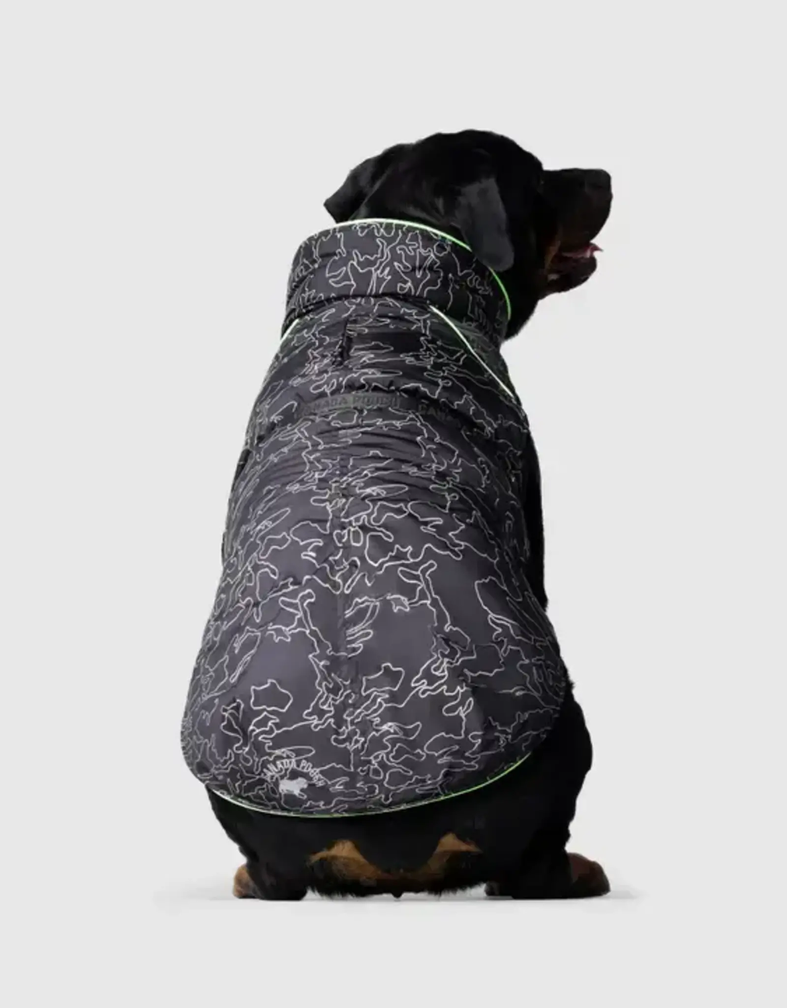 Canada Pooch Expedition Coat 2.0