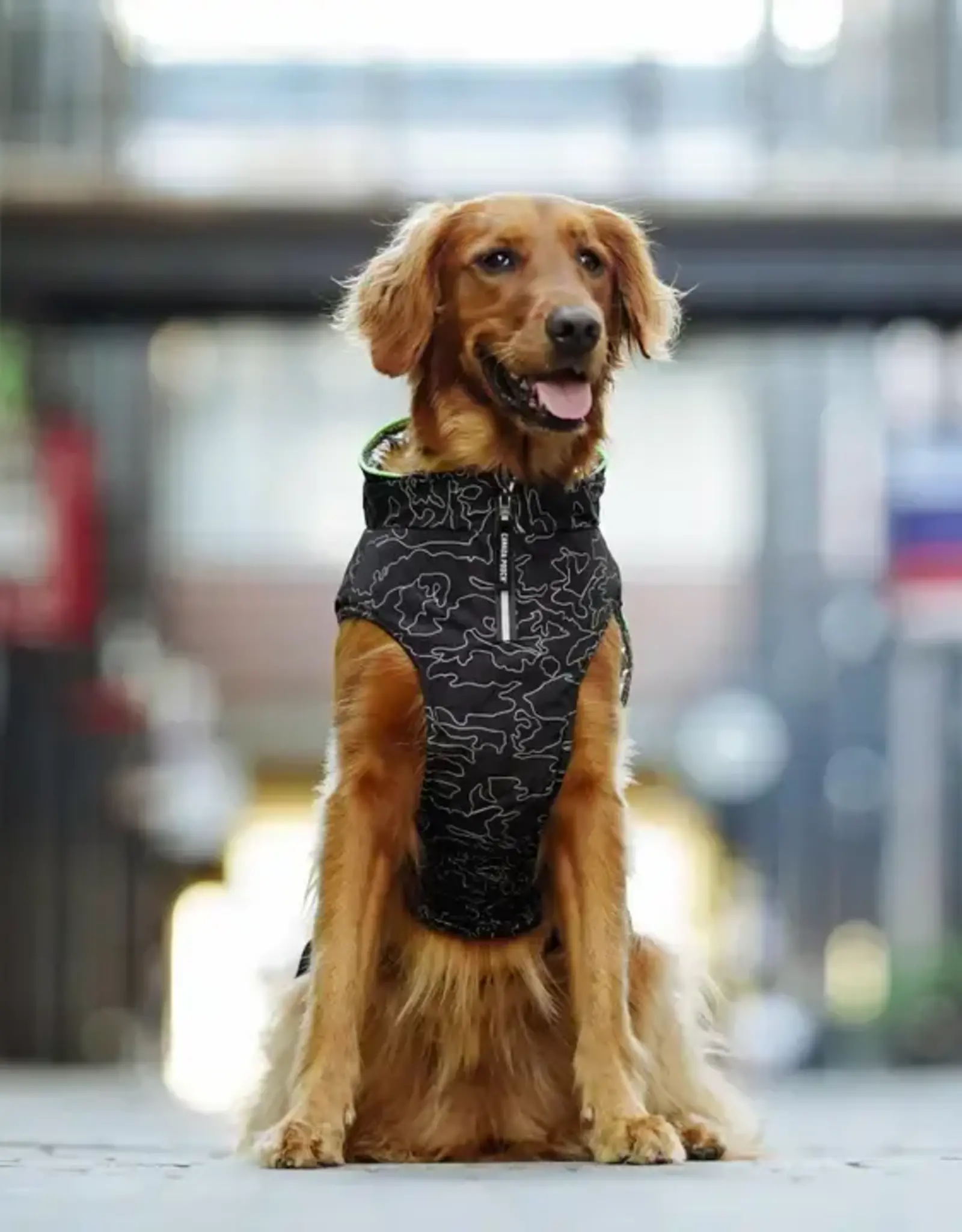 Canada Pooch Expedition Coat 2.0