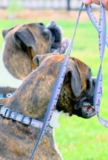 Euro Dog Euro Dog Outdoor Style Nylon Dog Leash Euro Dog Euro Dog Outdoor Style Nylon Dog Leash