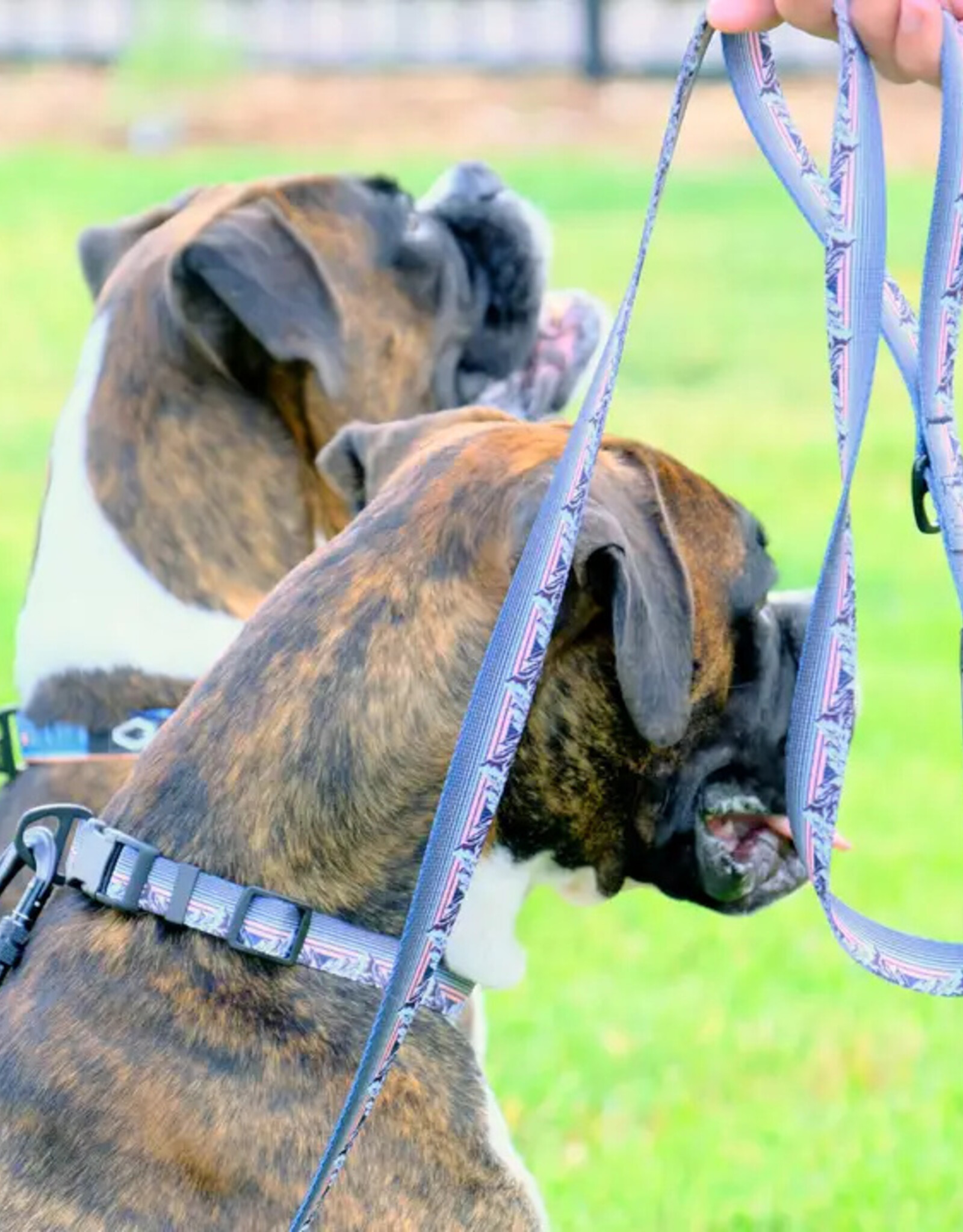 Euro Dog Euro Dog Outdoor Style Nylon Dog Leash