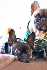 Fabdog Plaid Dog Pajamas