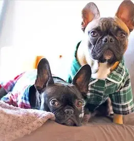 Fabdog Plaid Dog Pajamas