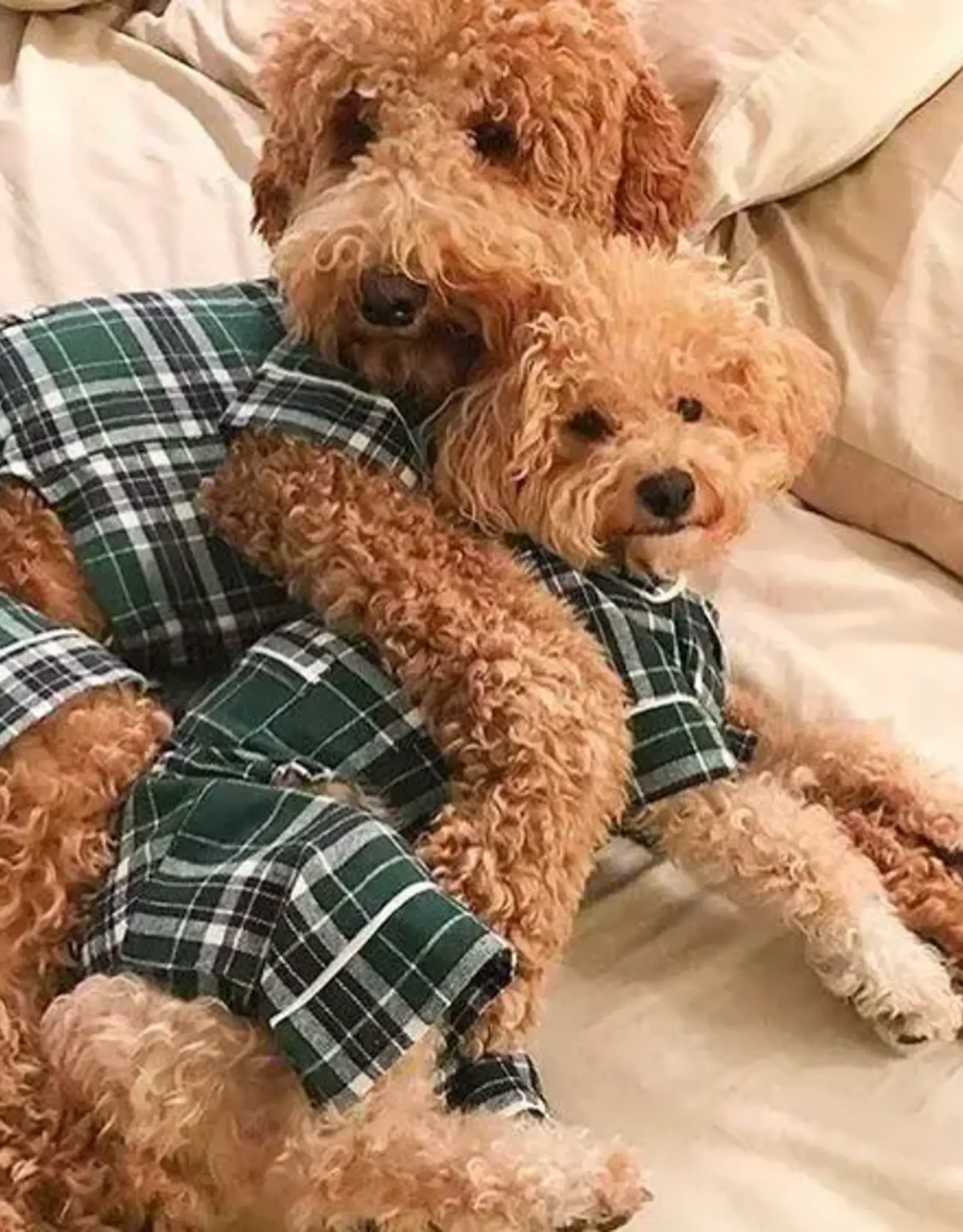 Fabdog Plaid Dog Pajamas