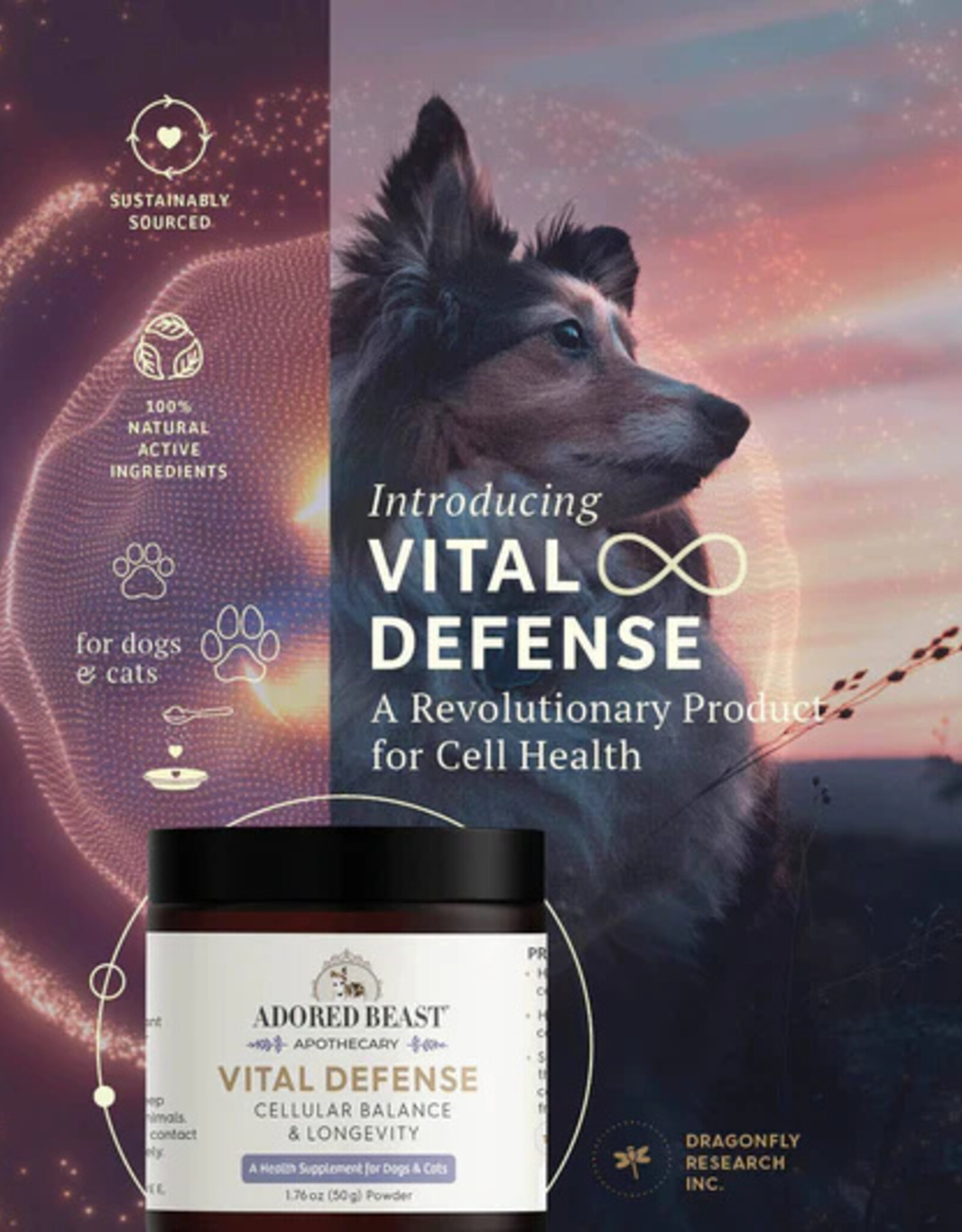 Adored Beasts Apothecary Adored Beasts Vital Defense | Cellular Support