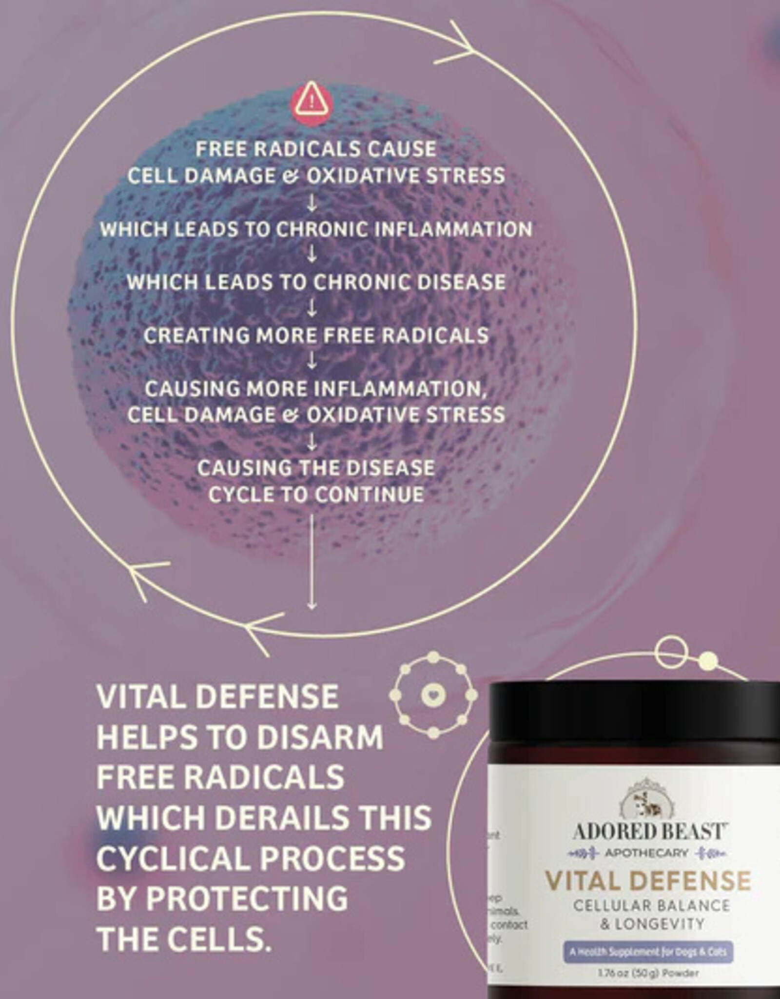 Adored Beasts Apothecary Adored Beasts Vital Defense | Cellular Support
