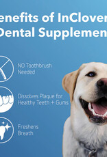 inClover inClover Dental Supplement for Dogs + Cats