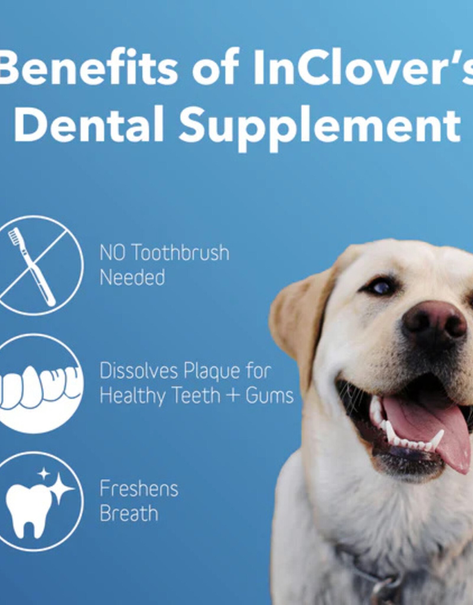 inClover inClover Dental Supplement for Dogs + Cats