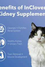 inClover InClover Kidney Supplement for Dogs + Cats