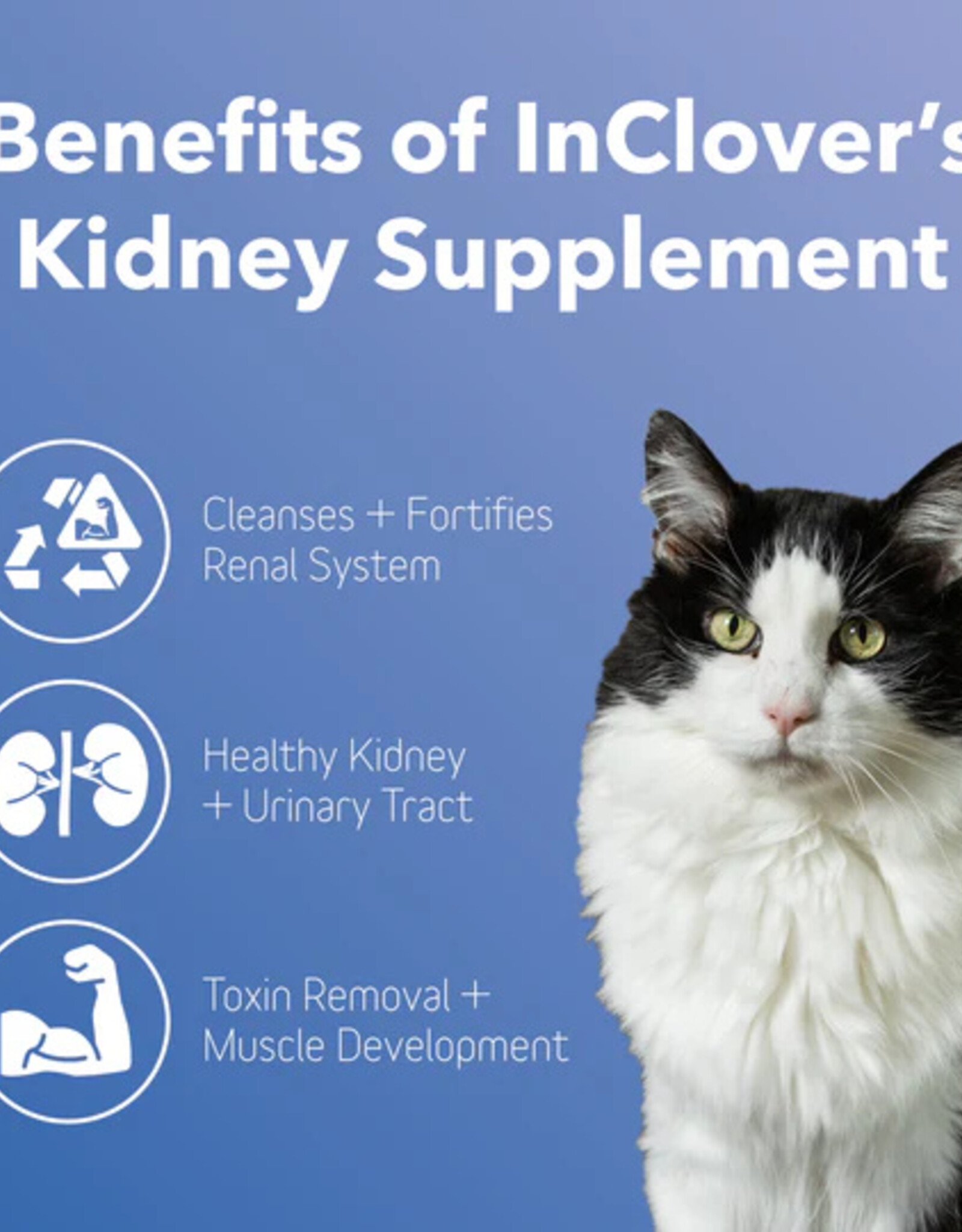 inClover InClover Kidney Supplement for Dogs + Cats