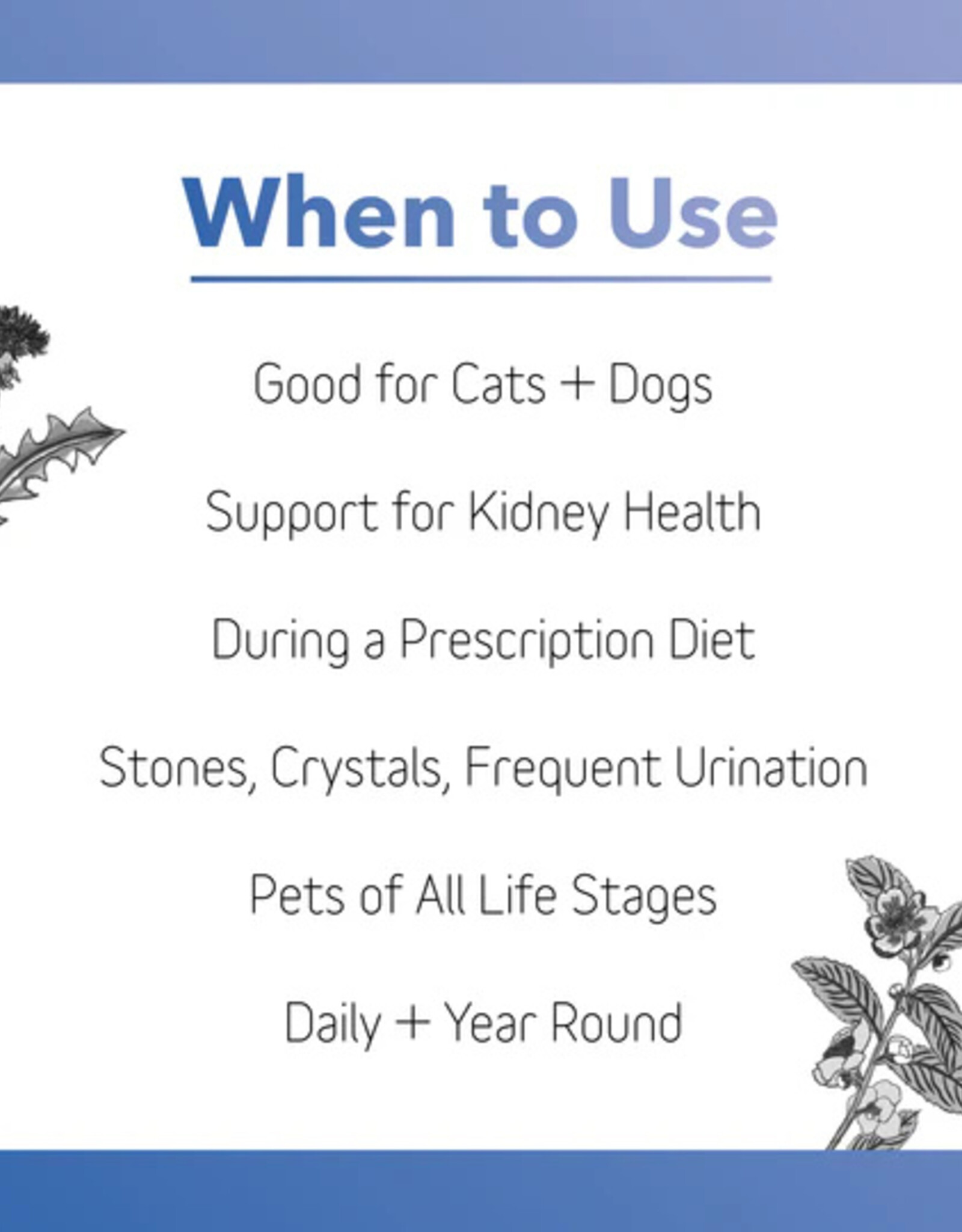 inClover InClover Kidney Supplement for Dogs + Cats