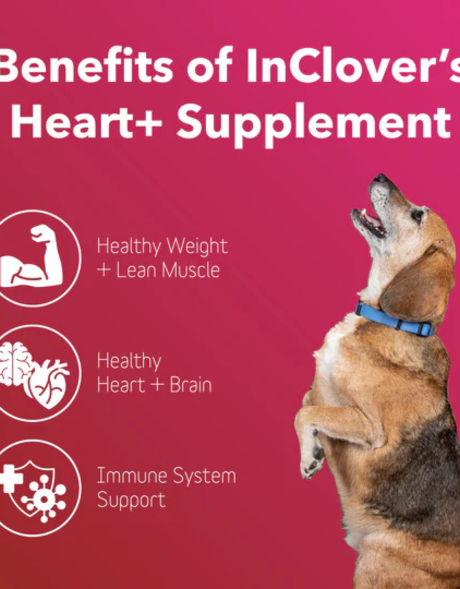 inClover InClover Heart+ Supplement for Dogs + Cats