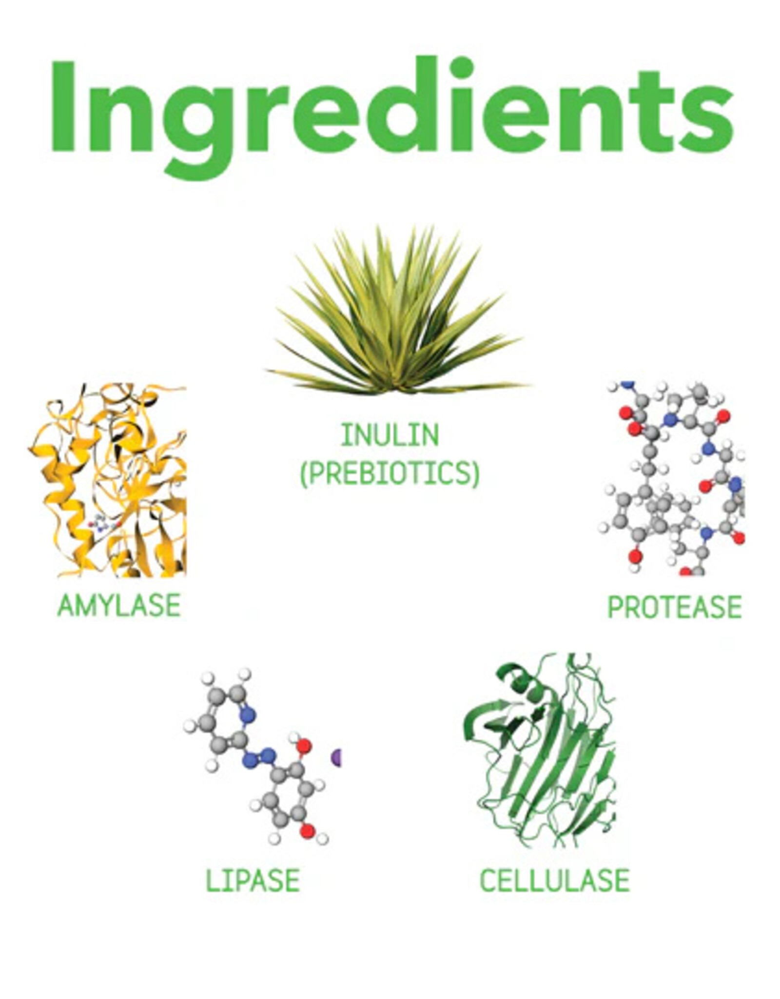 inClover InClover Optagest | Plant Based Prebiotics & Digestive Enzymes for Dogs & Cats