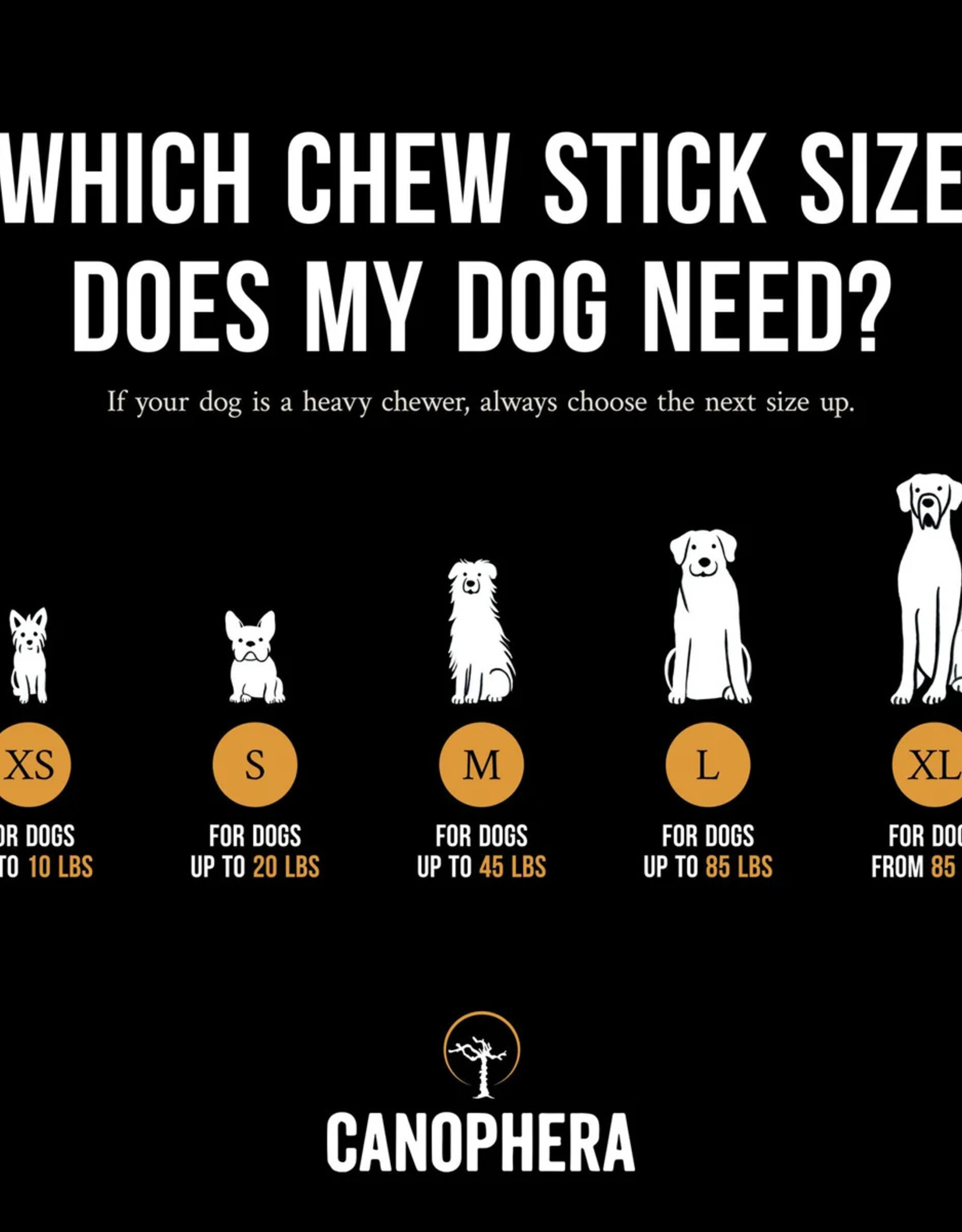 Canophera Coffee Wood Chew Sticks