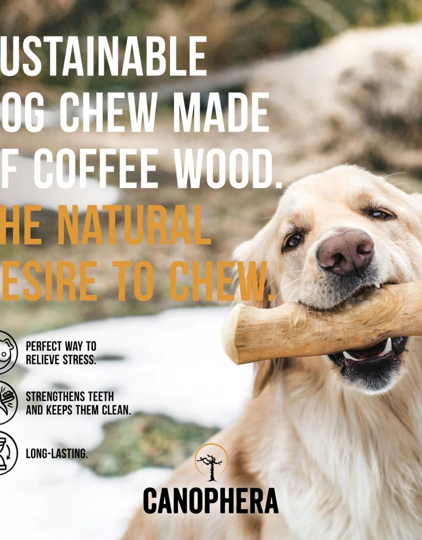 Canophera Coffee Wood Chew Sticks