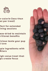 pupford Pupford Freeze Dried Blueberry Training Treats 2oz
