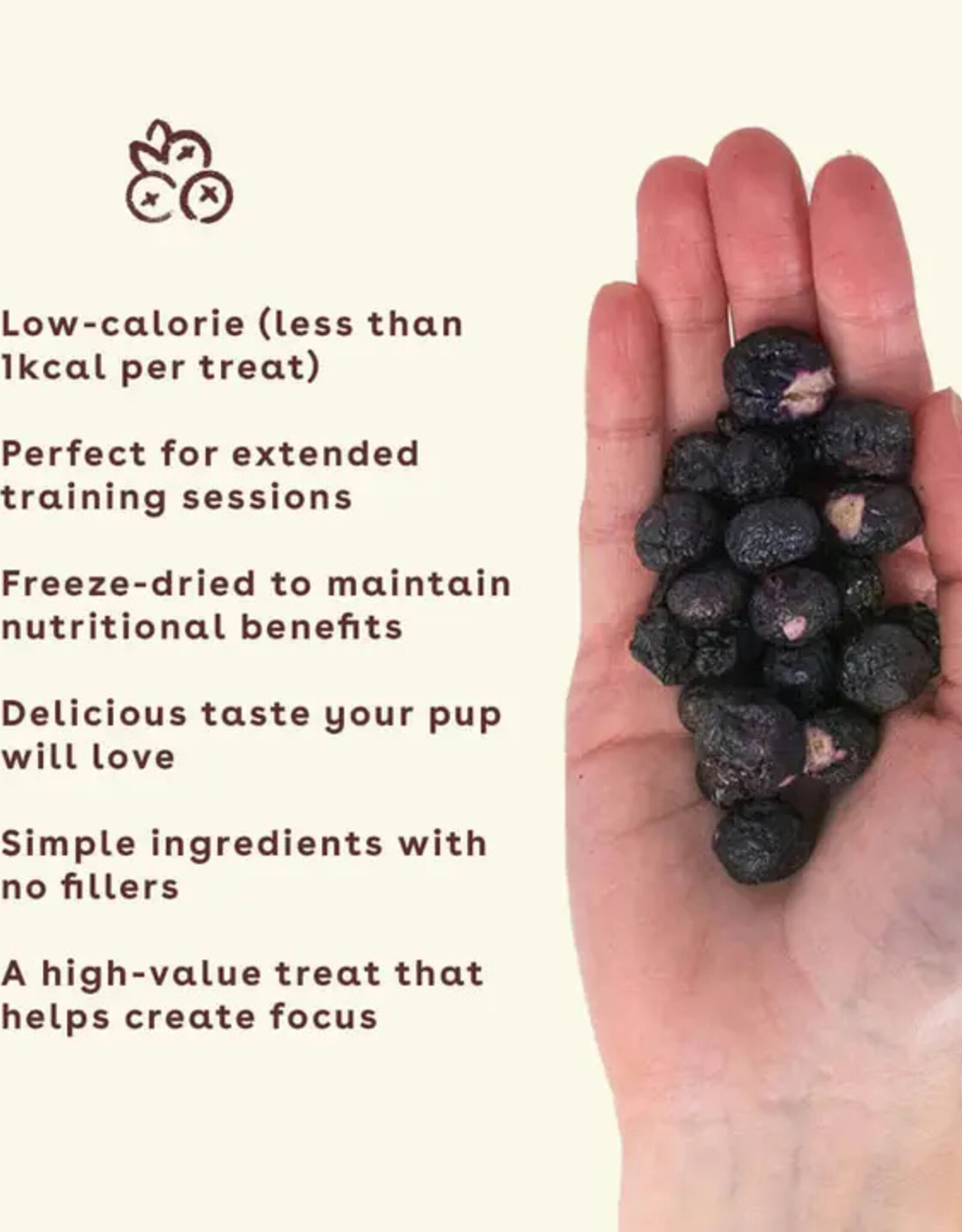pupford Pupford Freeze Dried Blueberry Training Treats 2oz