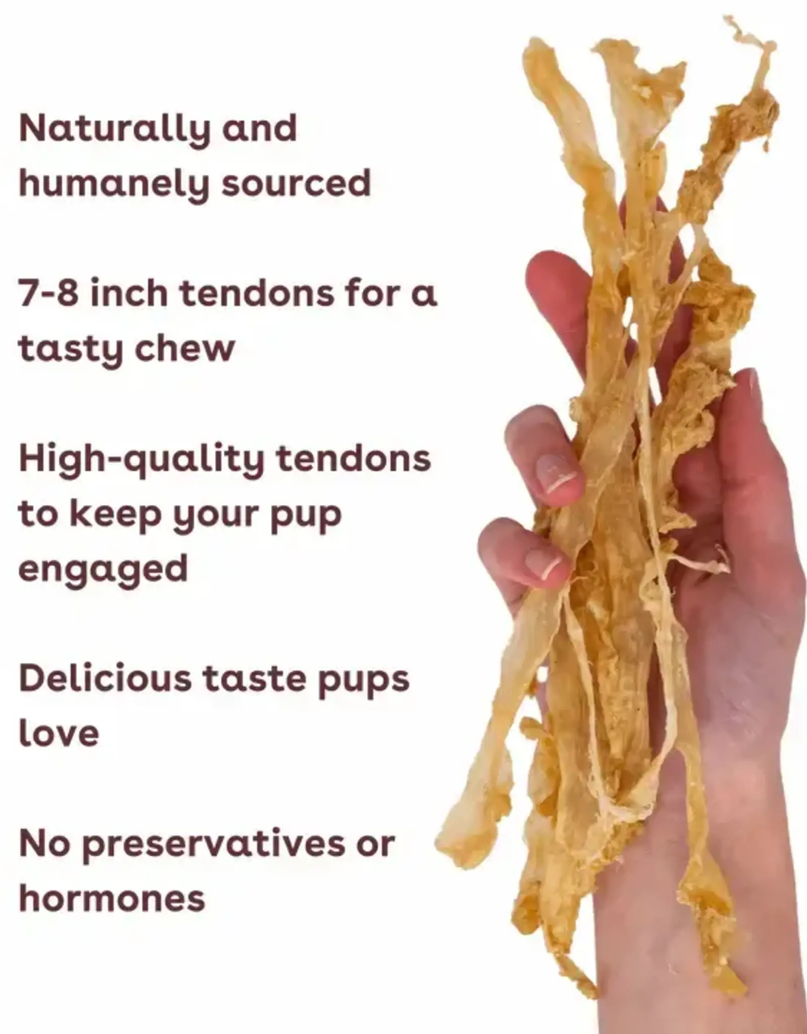 pupford Pupford Turkey Tendon Dog Chews