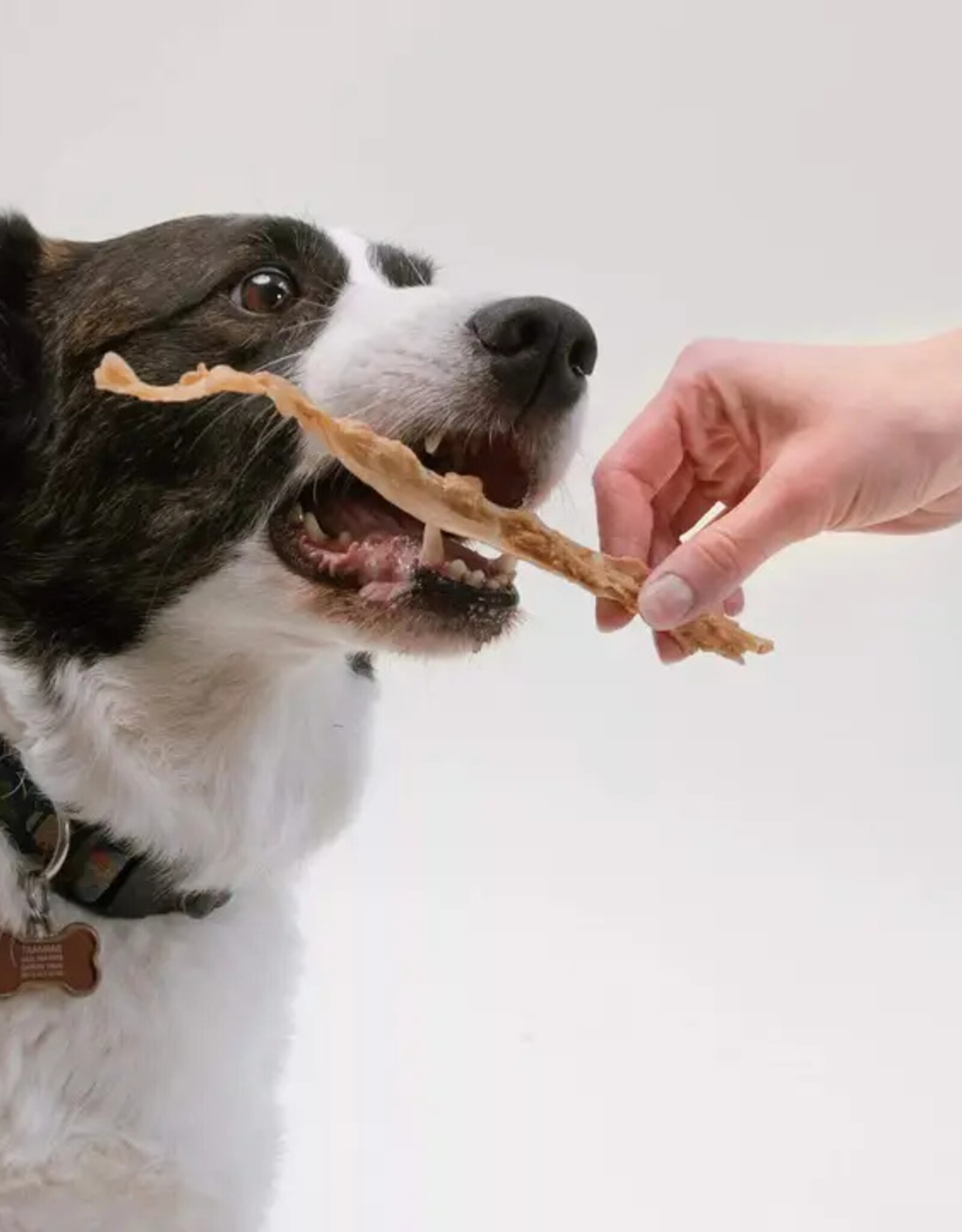 pupford Pupford Turkey Tendon Dog Chews