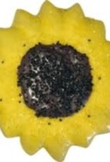 Preppy Puppy Preppy Puppy Sunflower