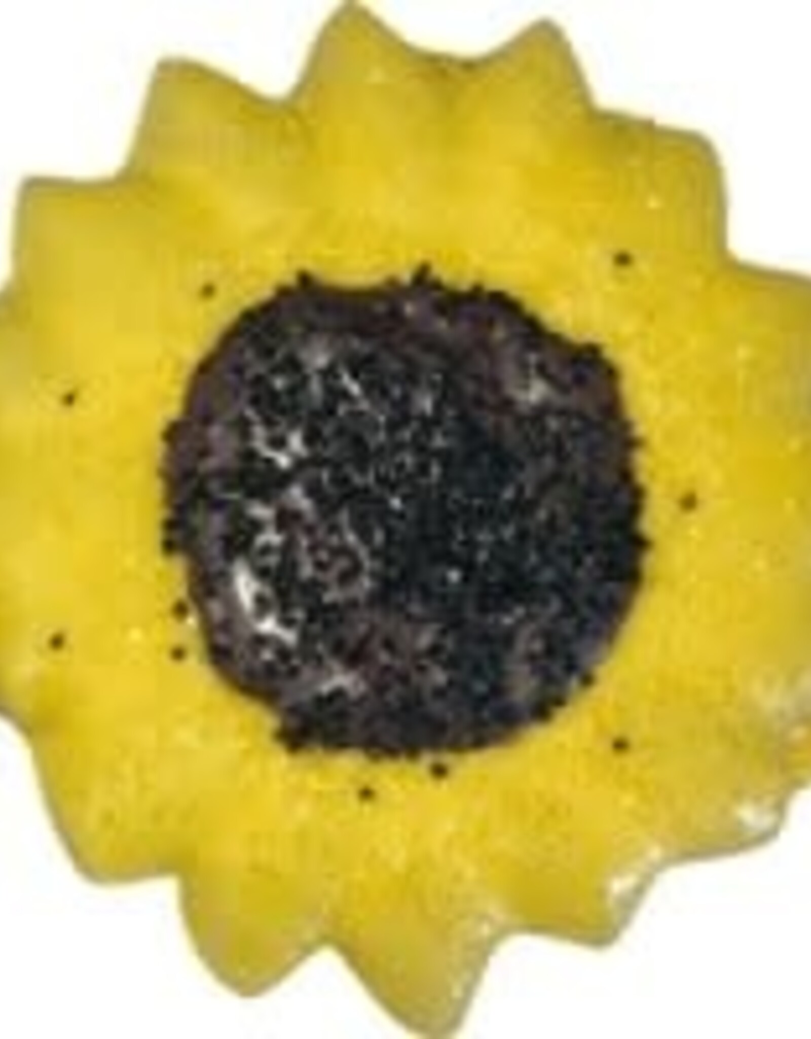 Preppy Puppy Preppy Puppy Sunflower