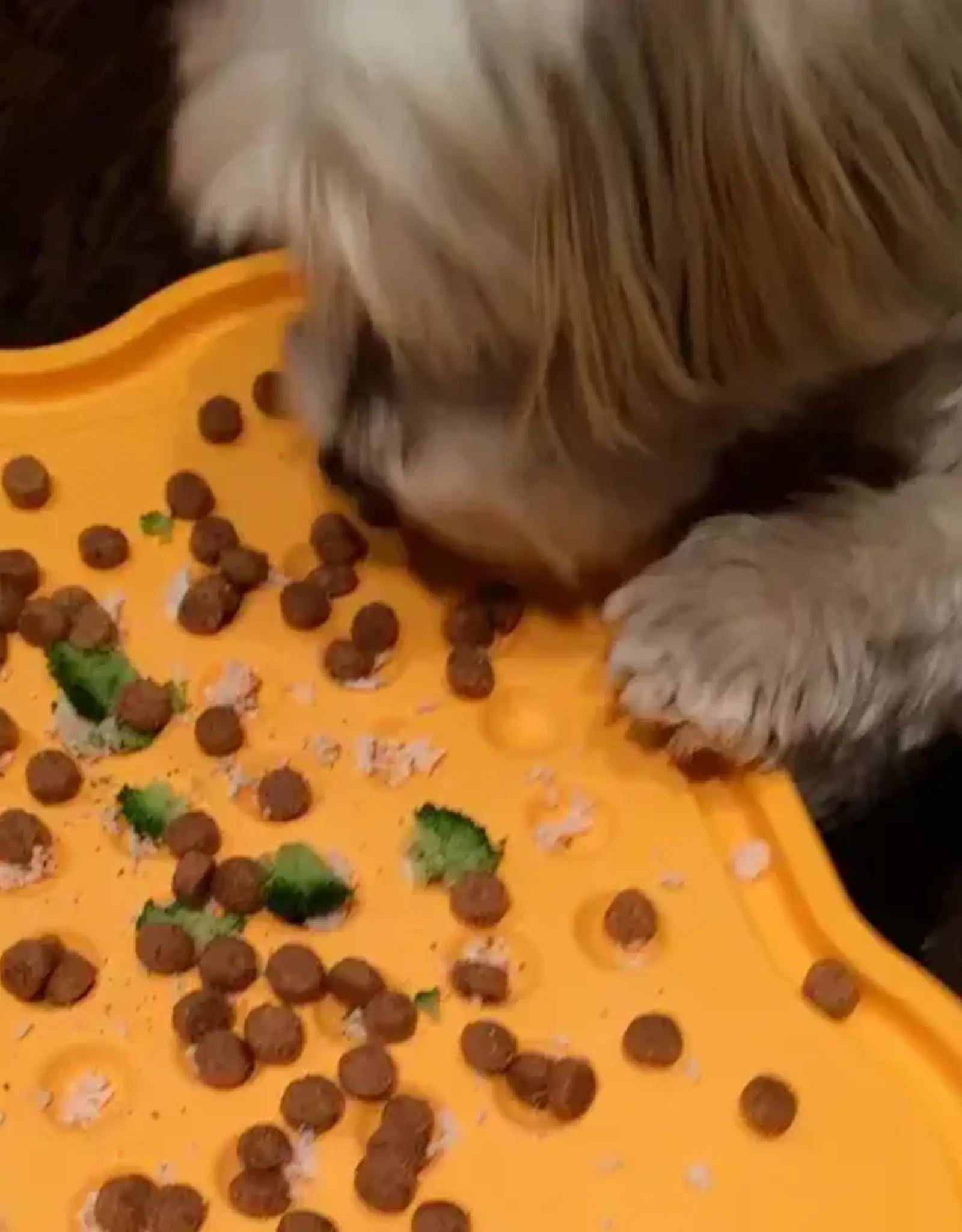 Mine Pet Platter Mine Pet Platter