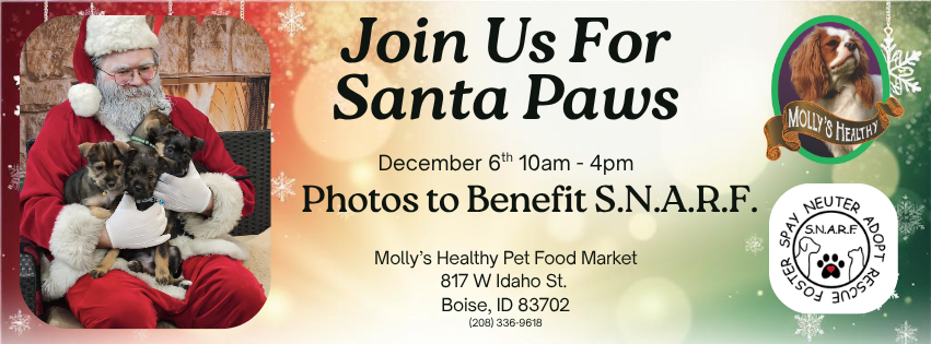 Santa Paws